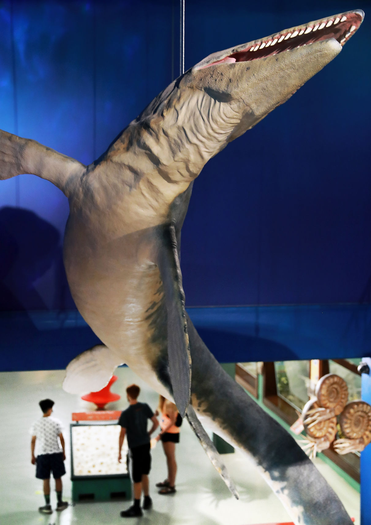 071520_HastingMuseumOpens20_002_bjs.JPG